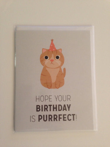 Hope your birthday is purrfect